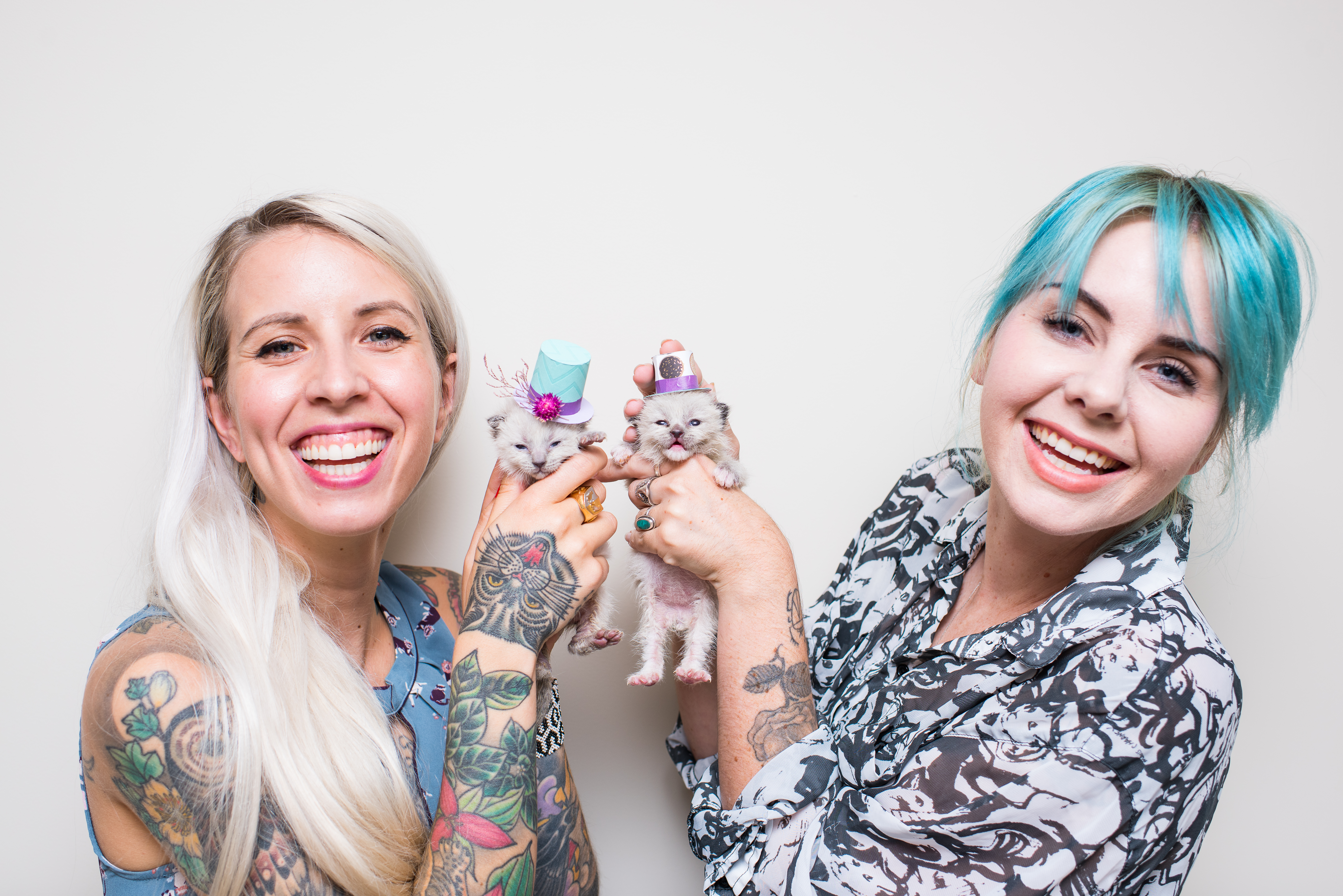 kitten lady tiny but mighty