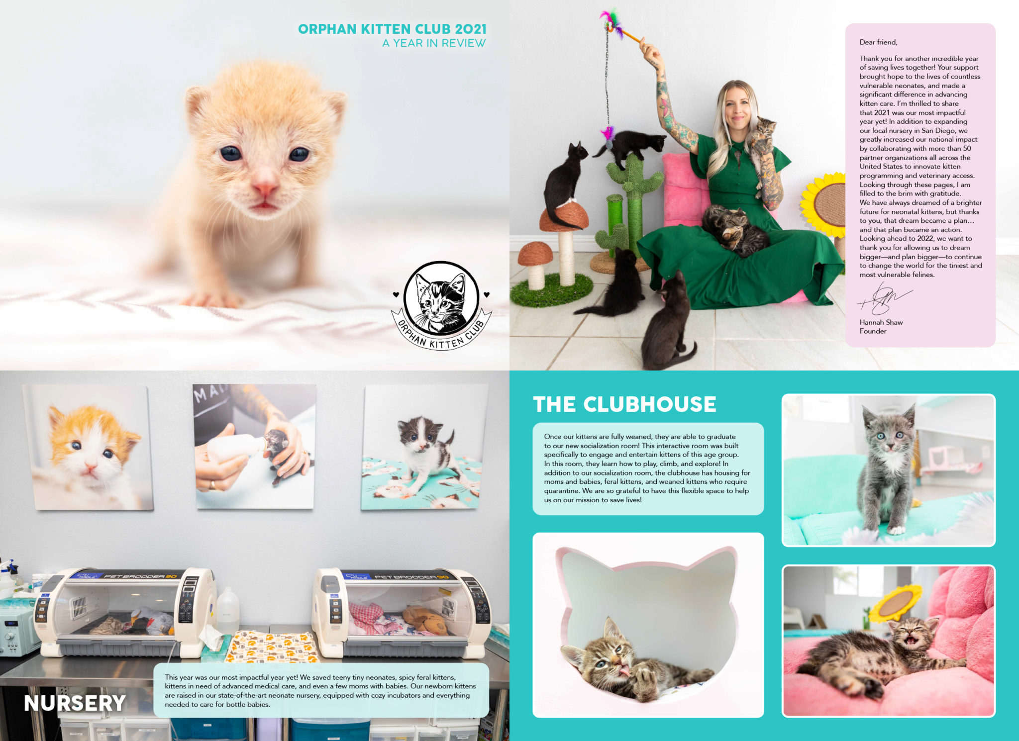 Annual Report - Orphan Kitten Club