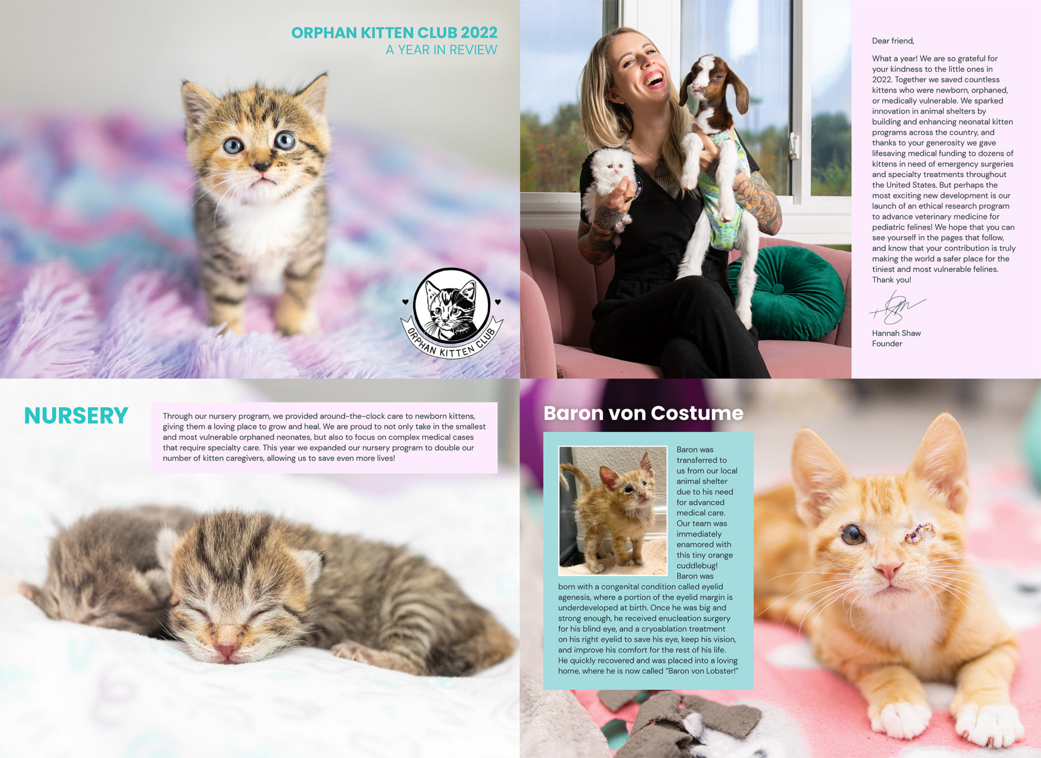 Annual Report - Orphan Kitten Club