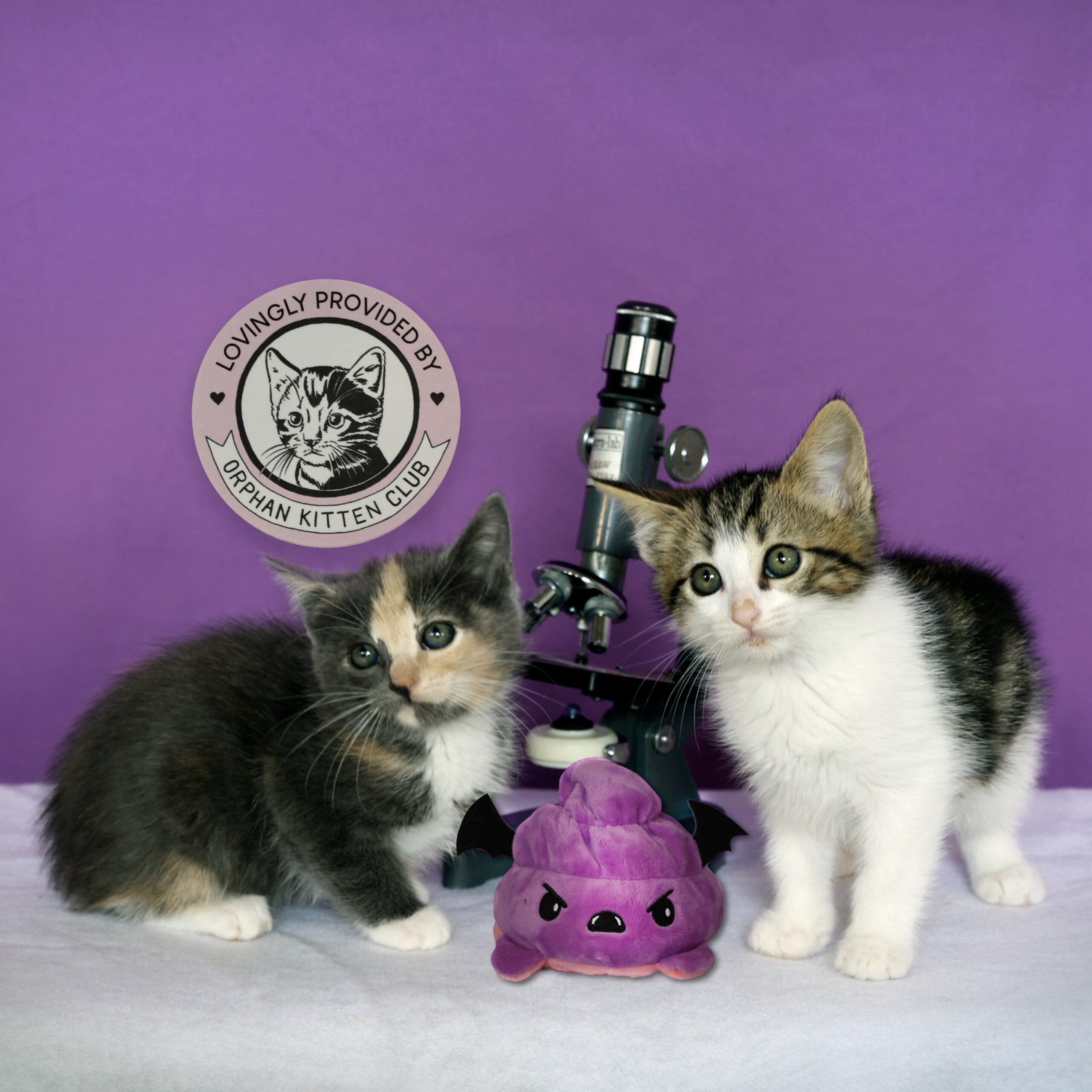 The Scoop on Poop Program - Orphan Kitten Club